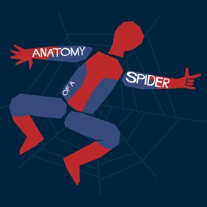 spider_anatomy